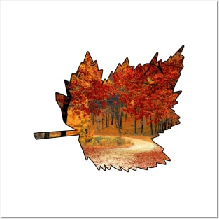 Maple Leaf Outline (Fall Colors) Posters and Art